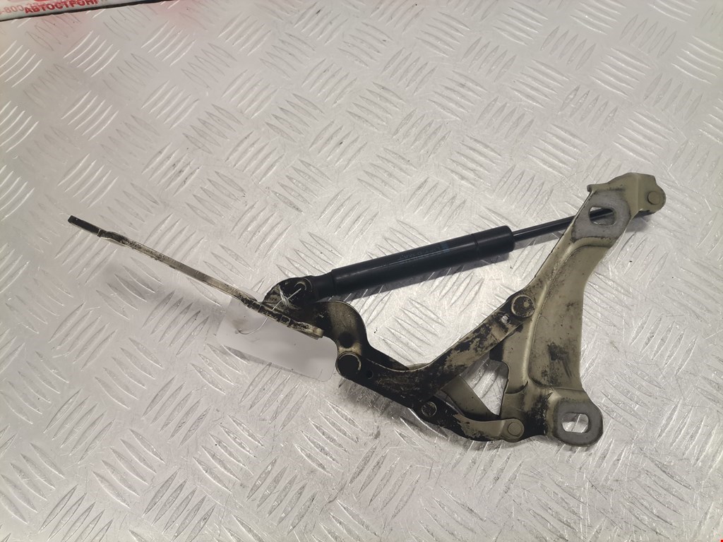 Петля капота левая Mini Cooper Clubman (R55) (2007-2014)