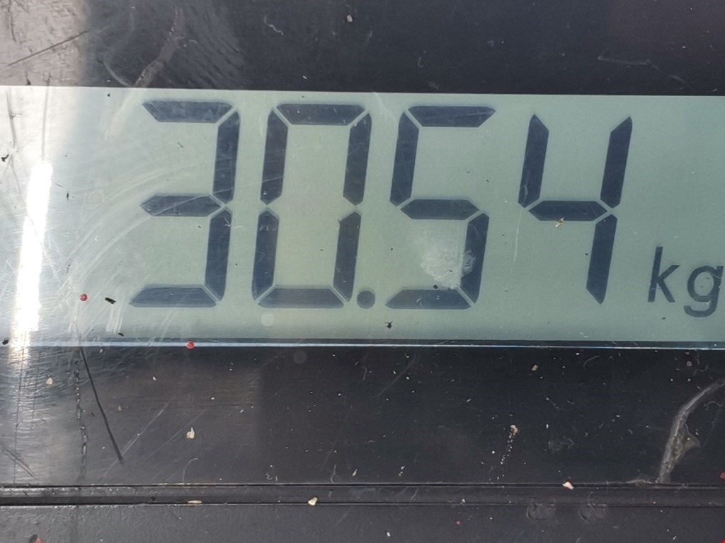 Рессора задняя IVECO Daily V 2011-2014