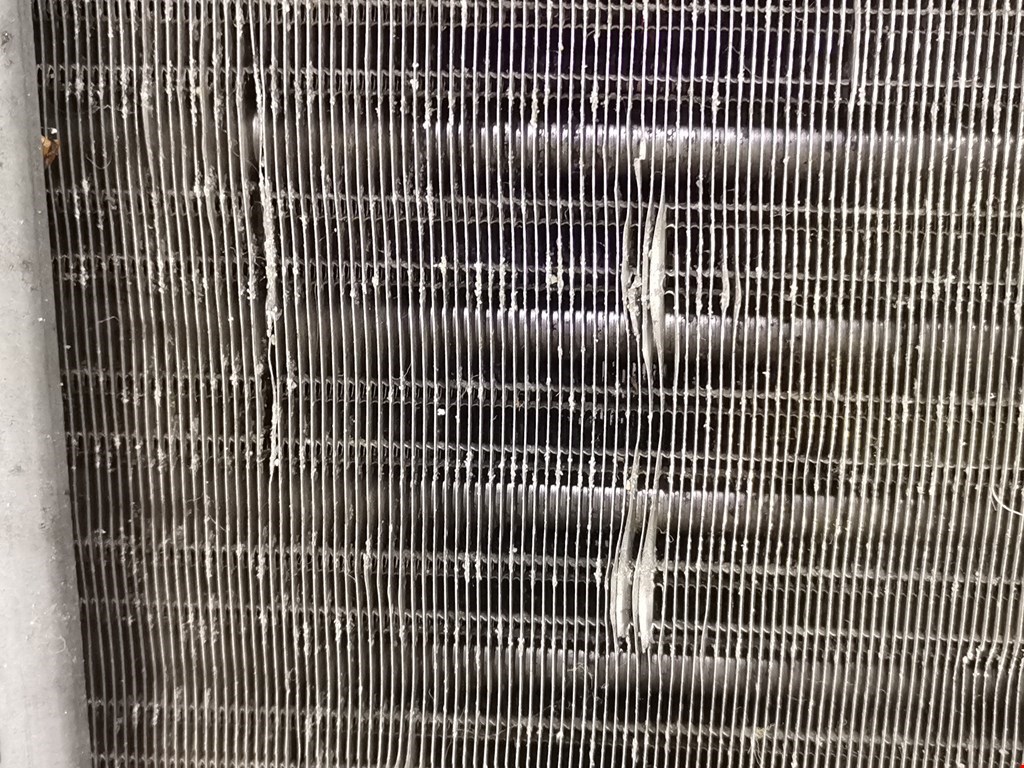 Радиатор основной RENAULT Clio 1998-2008