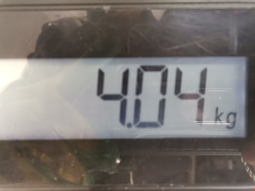 Стекло двери переднее левое MINI Clubman Estate R55 2008-2014