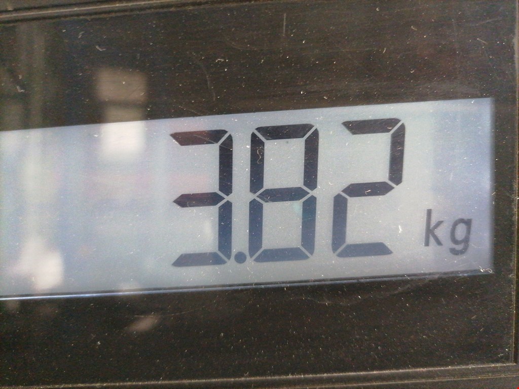 Радиатор основной SKODA Octavia A5 1Z- 2004-2013