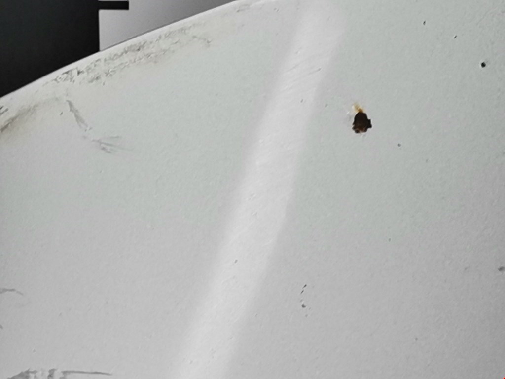 Капот RENAULT Scenic III 2010-2015