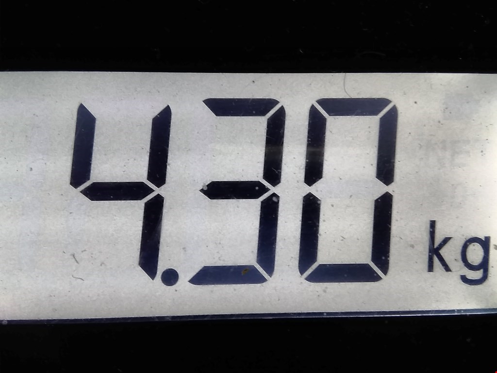 Поддон масляный двигателя MERCEDES-BENZ A-Class W168 1997-2004