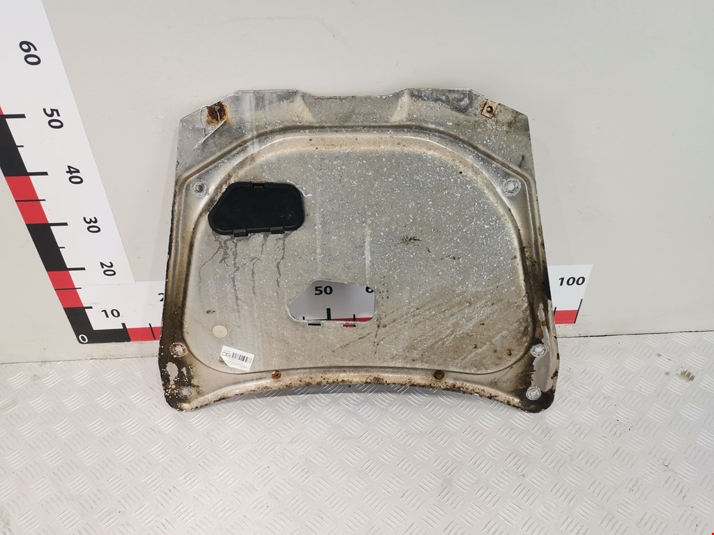 Защита картера (двигателя) BMW X5 E53 1999-2006