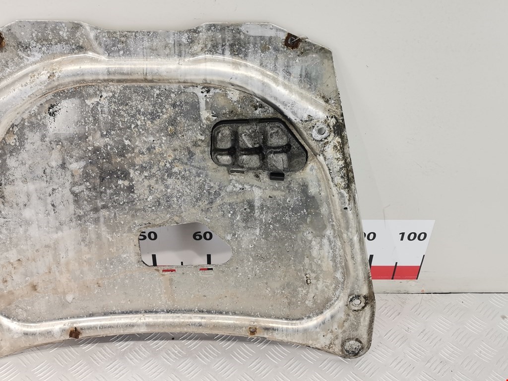 Защита картера (двигателя) BMW X5 E53 1999-2006