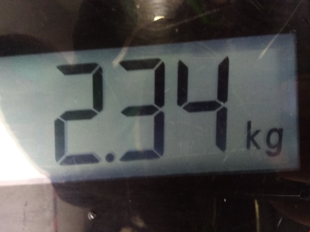 Спойлер CITROEN DS3 2009-2015