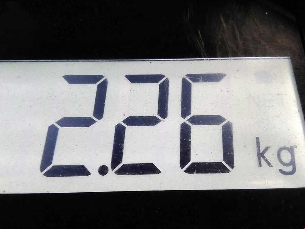 Стабилизатор задний (поперечной устойчивости подвески) TOYOTA Venza 2009-2017