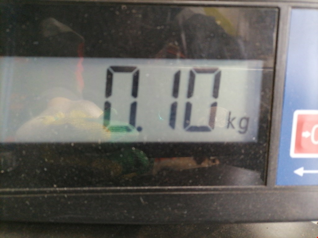 Кнопка аварийной сигнализации (аварийки) OPEL Astra H/Family 2004-2015