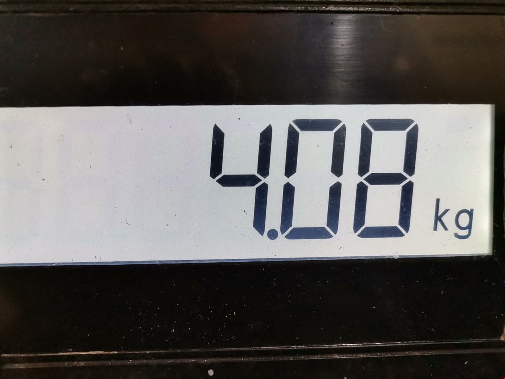 Стабилизатор передний (поперечной устойчивости подвески) FORD C-MAX 2010-2019