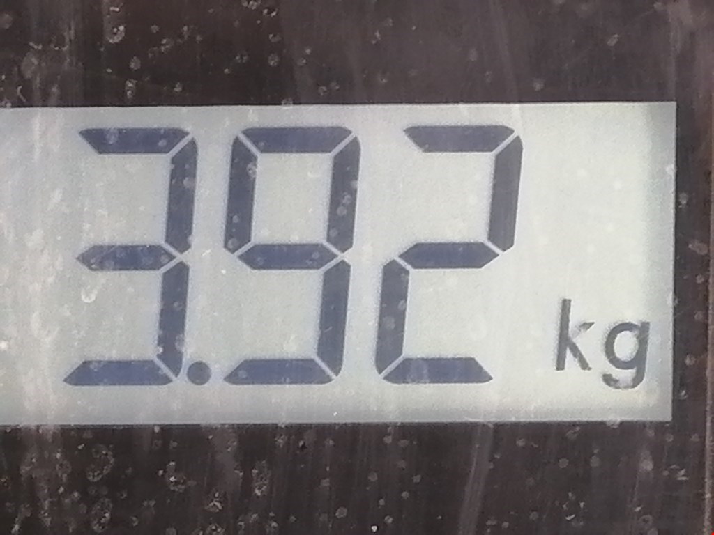 Интеркулер (радиатор интеркулера) SEAT Alhambra 1996-2010