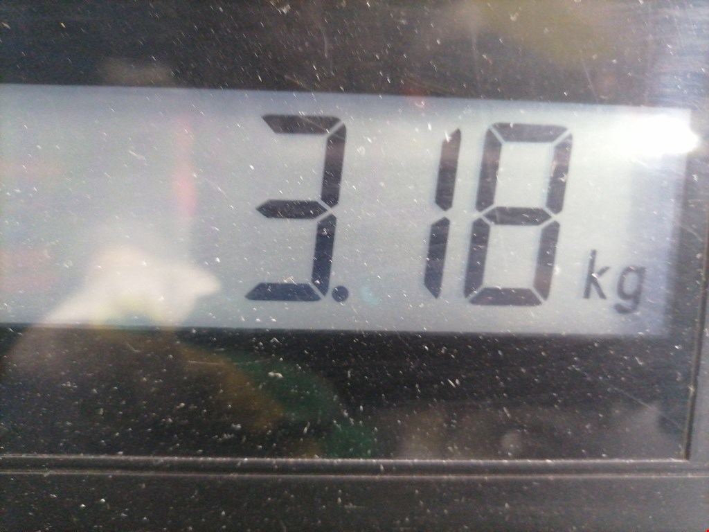 Интеркулер (радиатор интеркулера) PEUGEOT 406 1995-1999