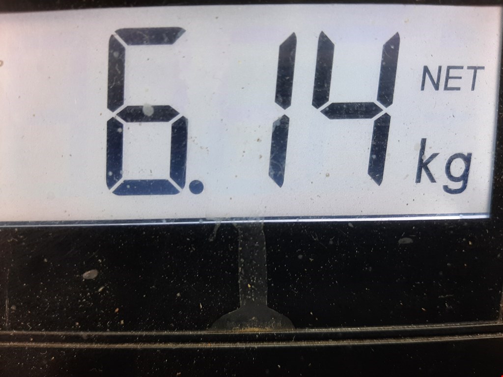 Амортизатор передний правый DAEWOO Kalos 2002-2006