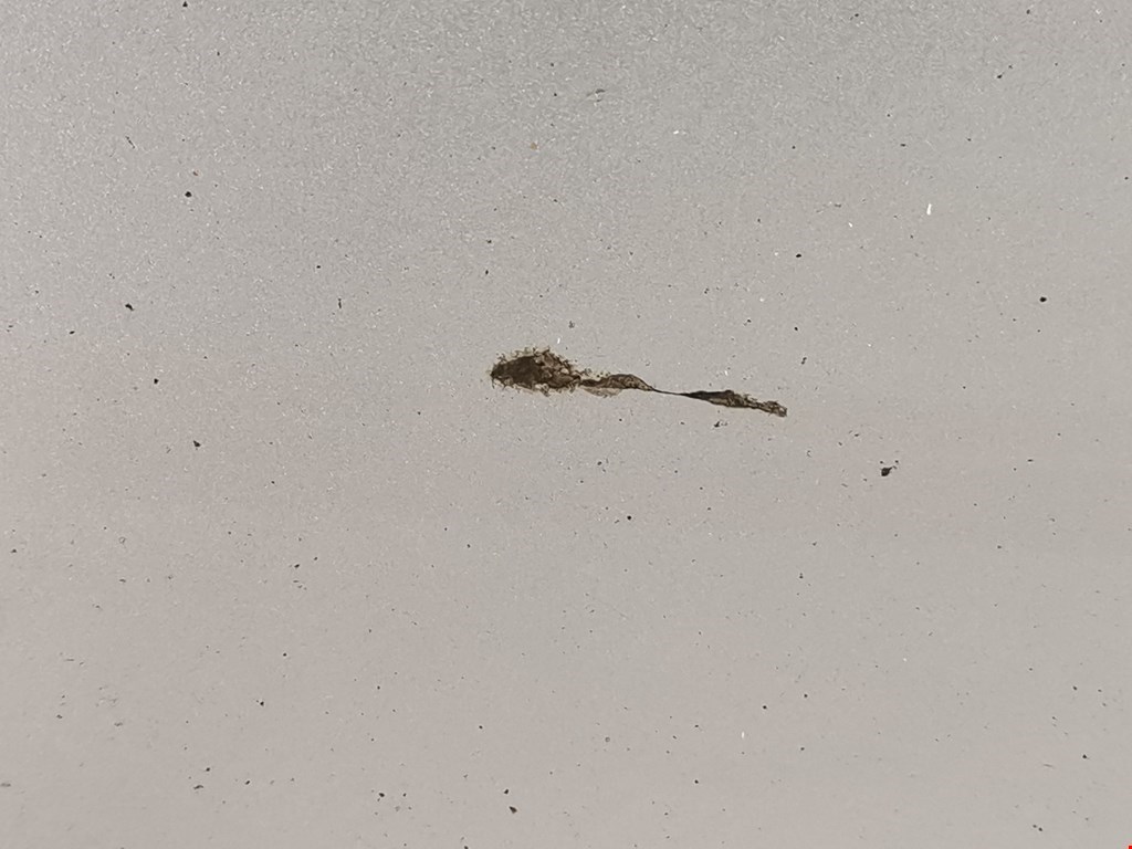 Дверь передняя правая MAZDA Mazda 6 GH 2007-2012