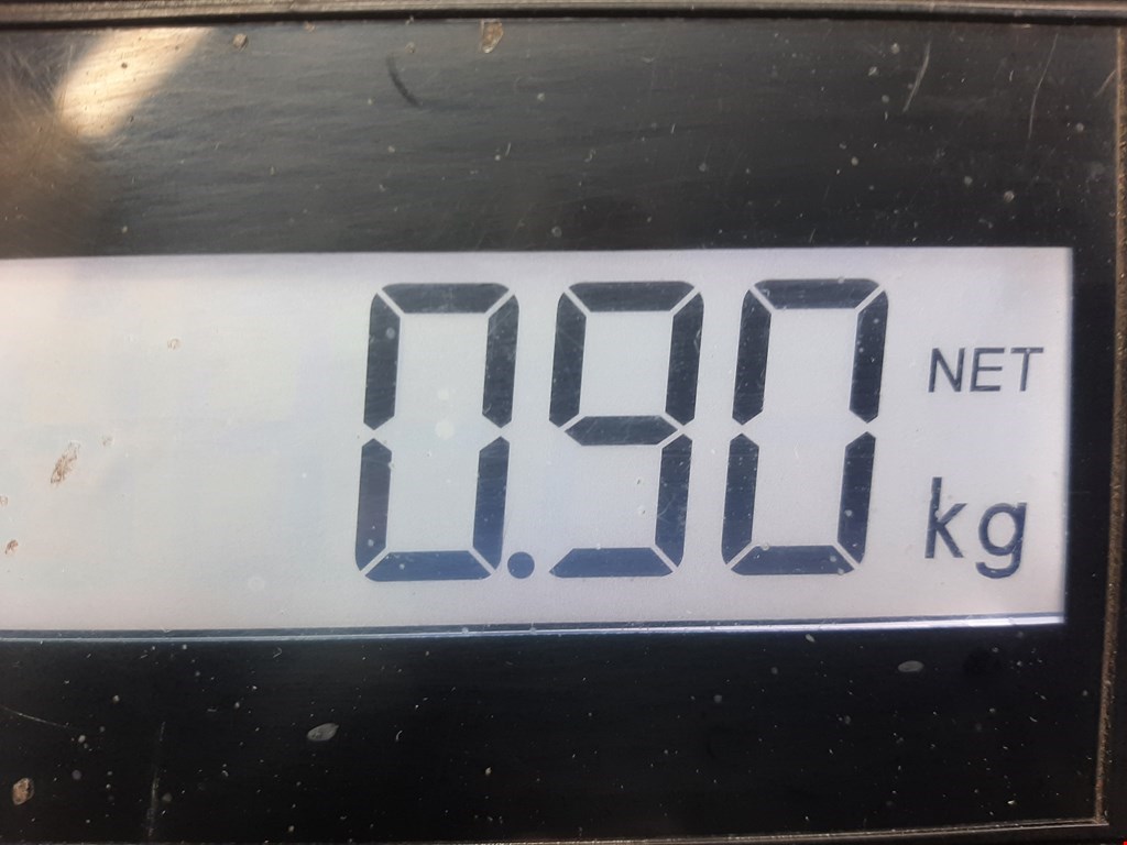 Моторчик стеклоочистителя задний FORD Focus III 2011-2019