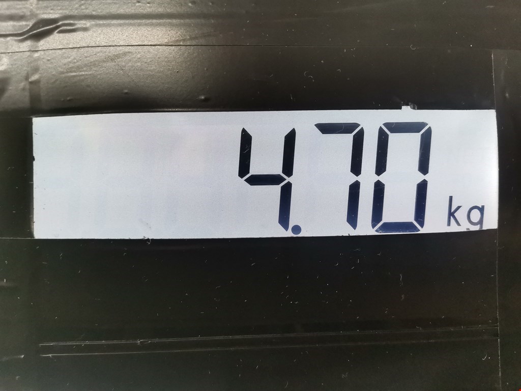 Датчик ABS RENAULT Clio 1998-2008