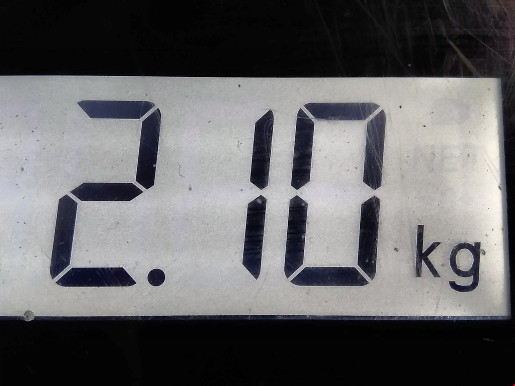 Стабилизатор задний (поперечной устойчивости подвески) HONDA Civic 4D 2016-н.в.