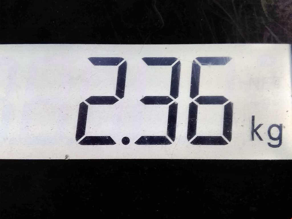 Коллектор впускной FORD Focus I 1998-2005