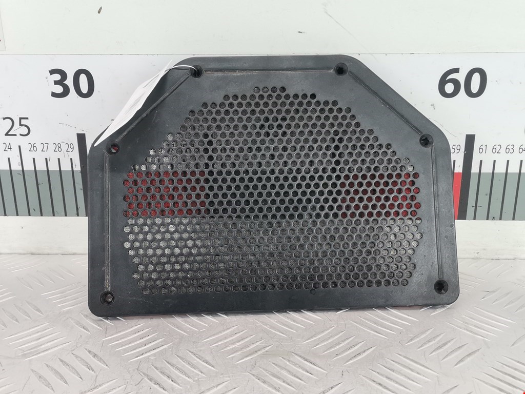 Динамик BMW X1 E84 2009-2015