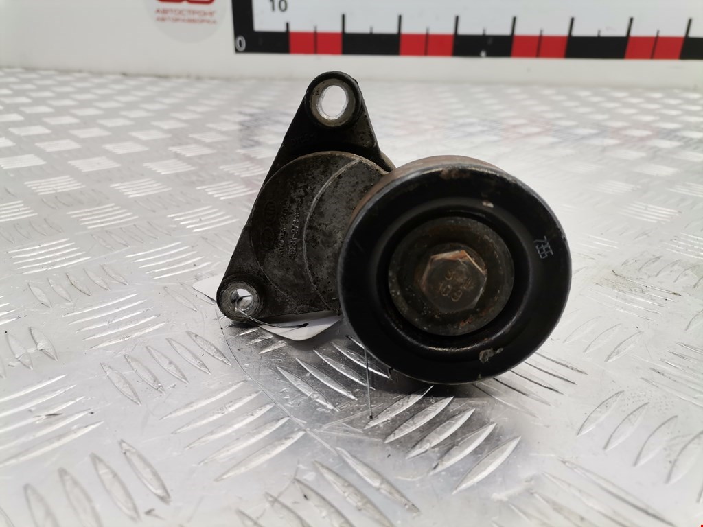 Натяжитель ремня генератора (приводного поликлинового ремня Kia Carens 2 (UN) (2006-2012)