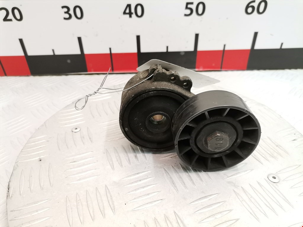 Натяжитель ремня генератора (приводного поликлинового ремня Ford Focus 2 (2004-2011)