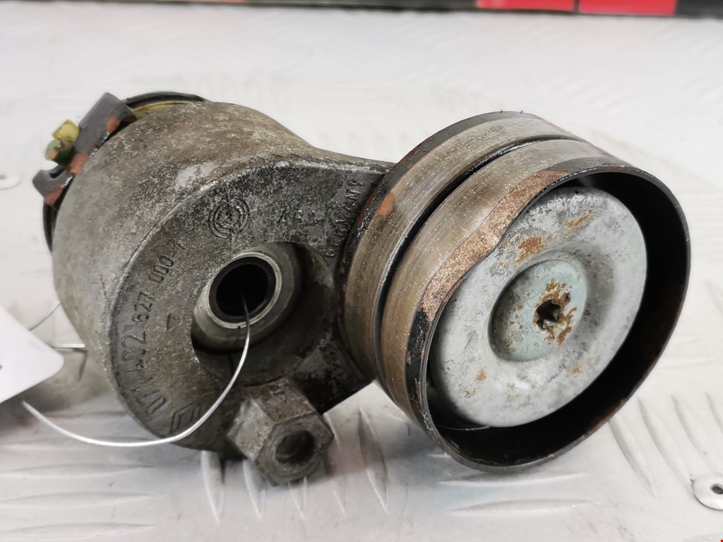 Натяжитель ремня генератора (приводного поликлинового ремня Renault Laguna 2 (2000-2007)