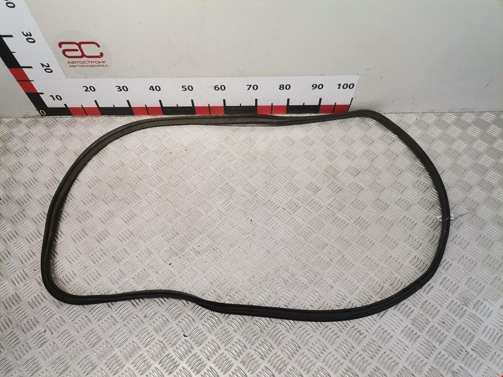 Уплотнитель двери RENAULT Scenic I 1996-2003