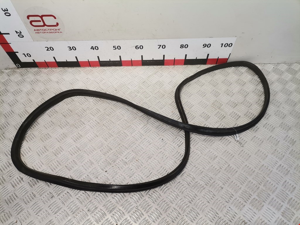 Уплотнитель двери RENAULT Scenic I 1996-2003