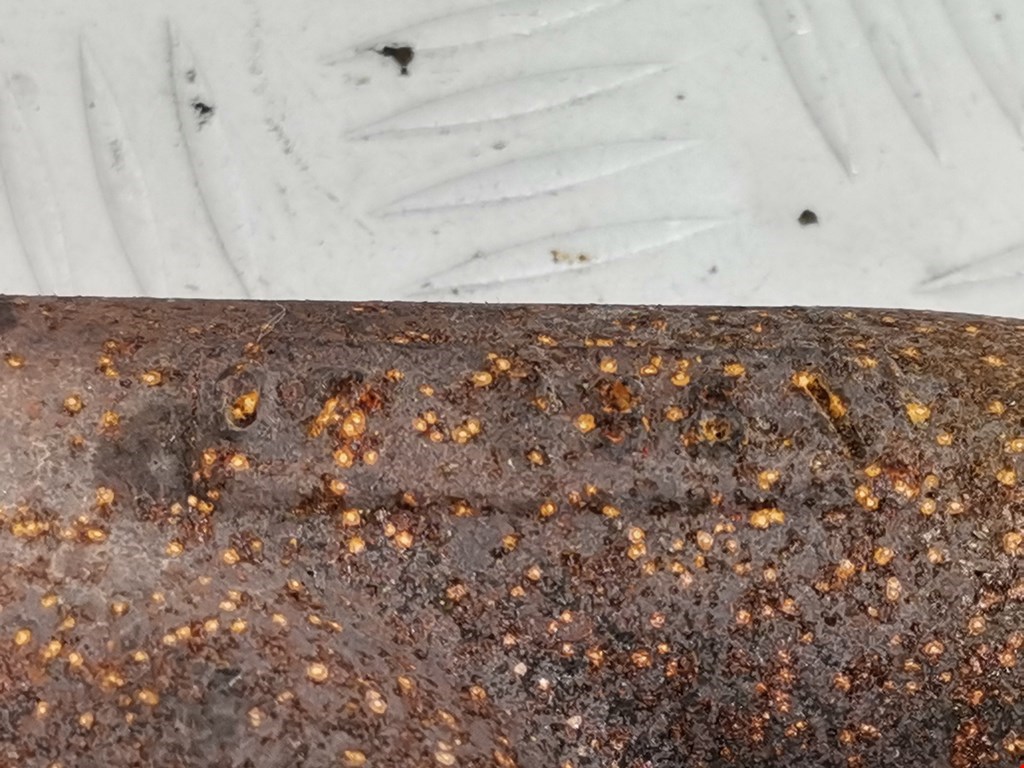 Коллектор выпускной RENAULT Scenic II 2003-2010