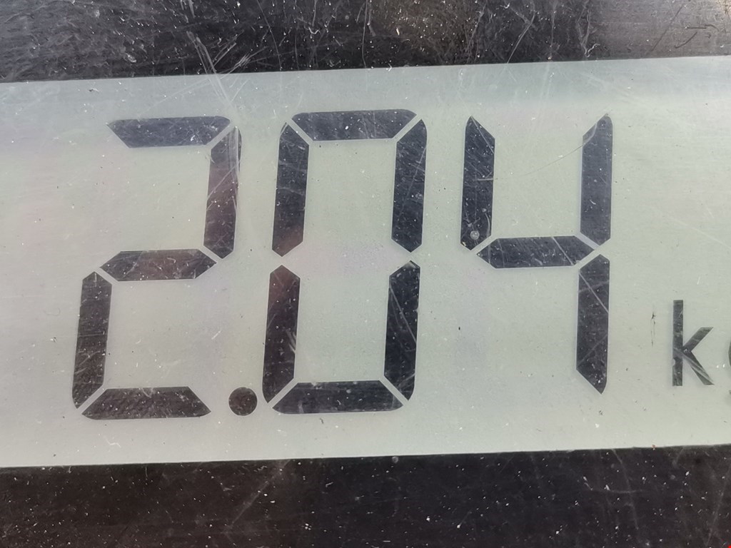 Амортизатор задний левый AUDI A3 8L 1996-2003