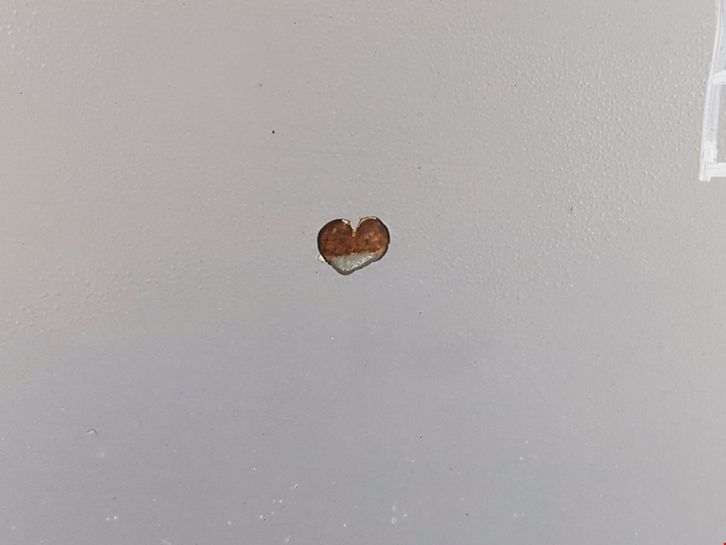 Капот CITROEN Xsara Picasso 1999-2012