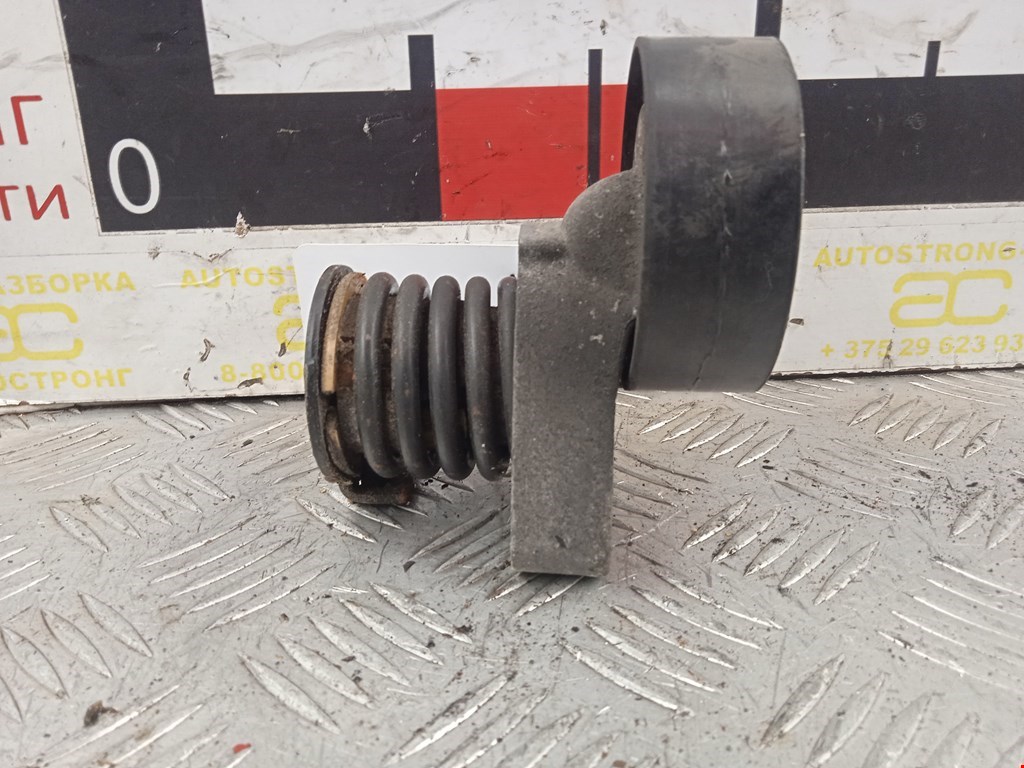 Натяжитель ремня генератора (приводного поликлинового ремня Mercedes C-Class (W203) (2000-2008)