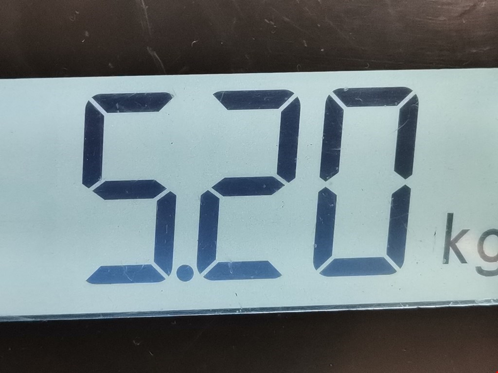 Амортизатор передний правый MAZDA Mazda 2 DY 2003-2007