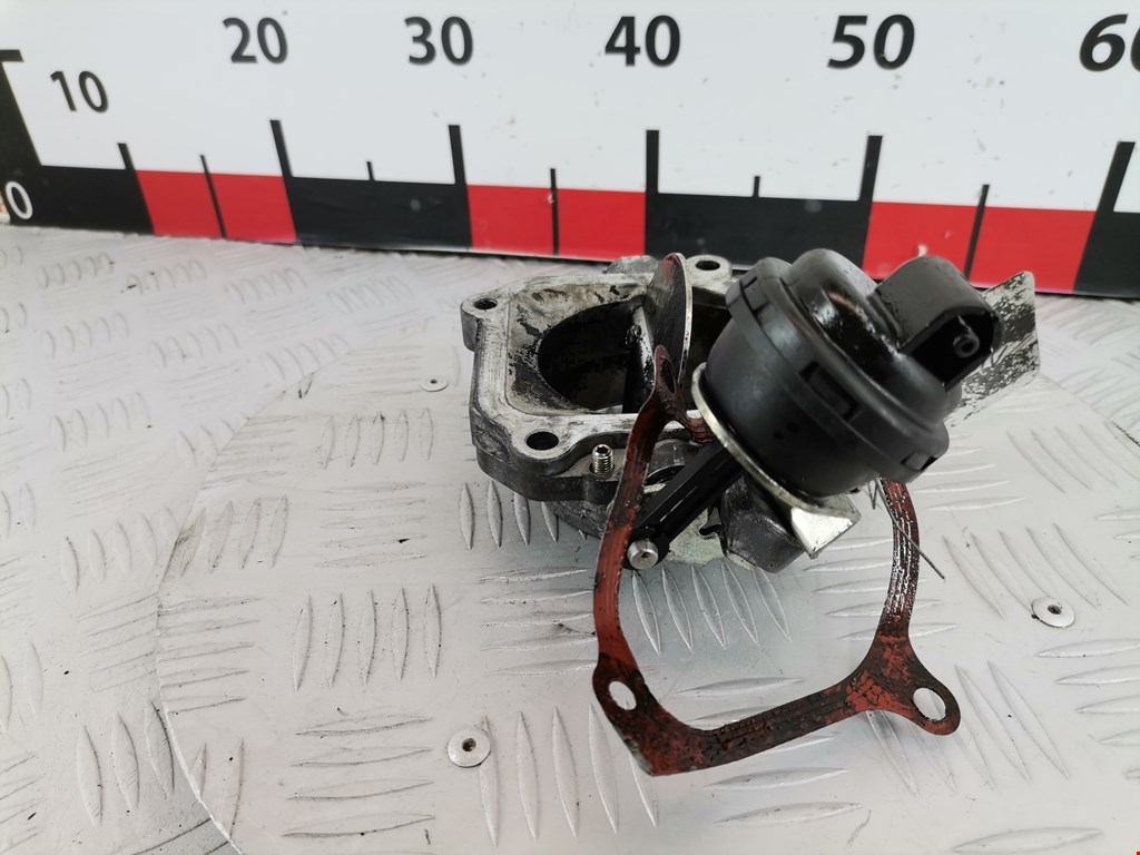 Защита антигравийная RENAULT Vel Satis 2002-2009