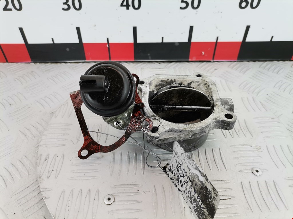 Защита антигравийная RENAULT Vel Satis 2002-2009