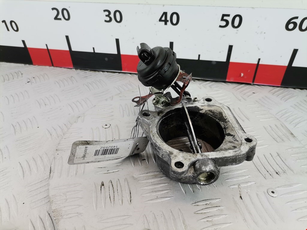 Защита антигравийная RENAULT Vel Satis 2002-2009