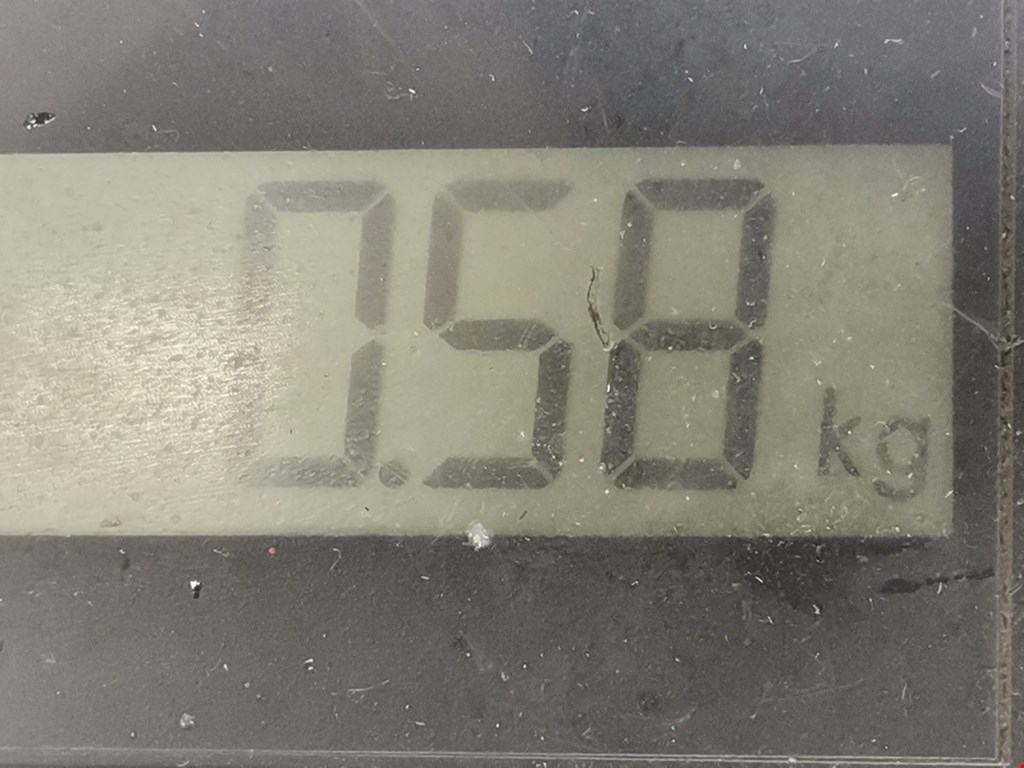 Клемма аккумулятора (минус) - RENAULT Vel Satis 2002-2009