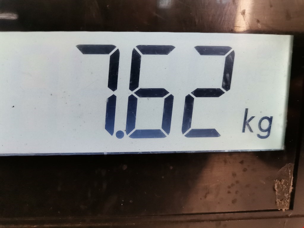 Амортизатор передний левый RENAULT Megane I 1996-2002