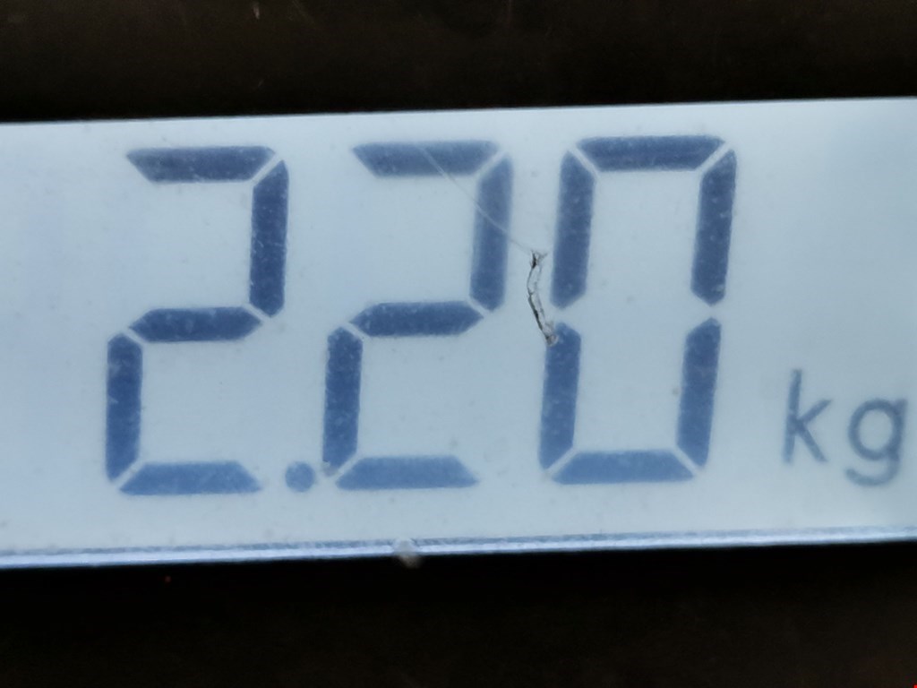 Подушка безопасности пассажирская (в торпедо) OPEL Zafira B 2005-2012