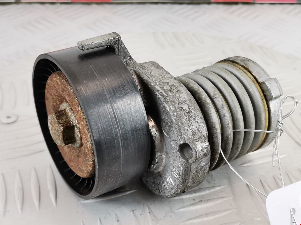 Натяжитель ремня генератора (приводного поликлинового ремня Volkswagen Polo 4 (2001-2009)