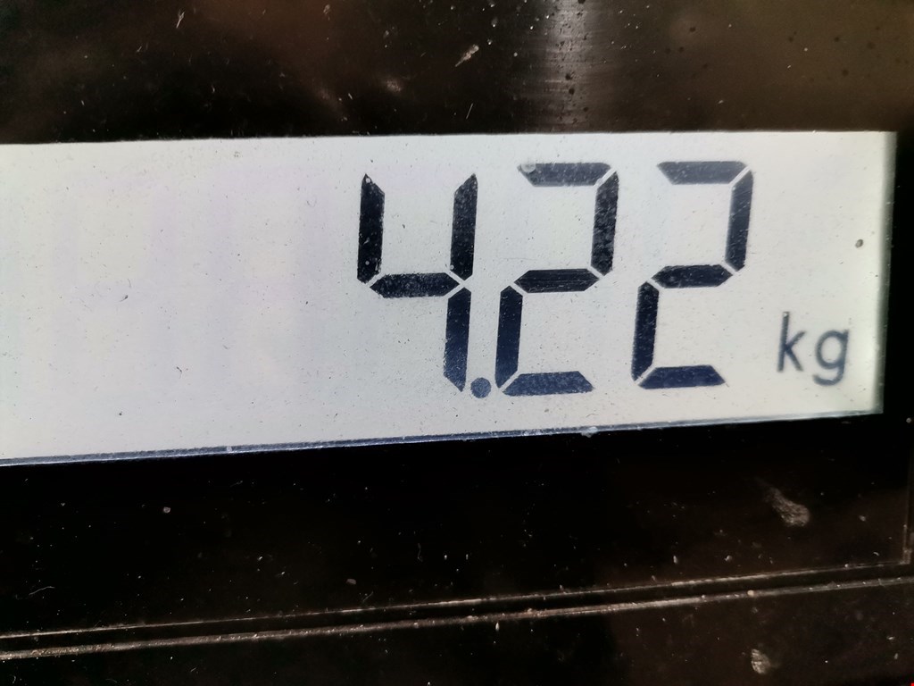 Коллектор выпускной RENAULT Master 1980-1998