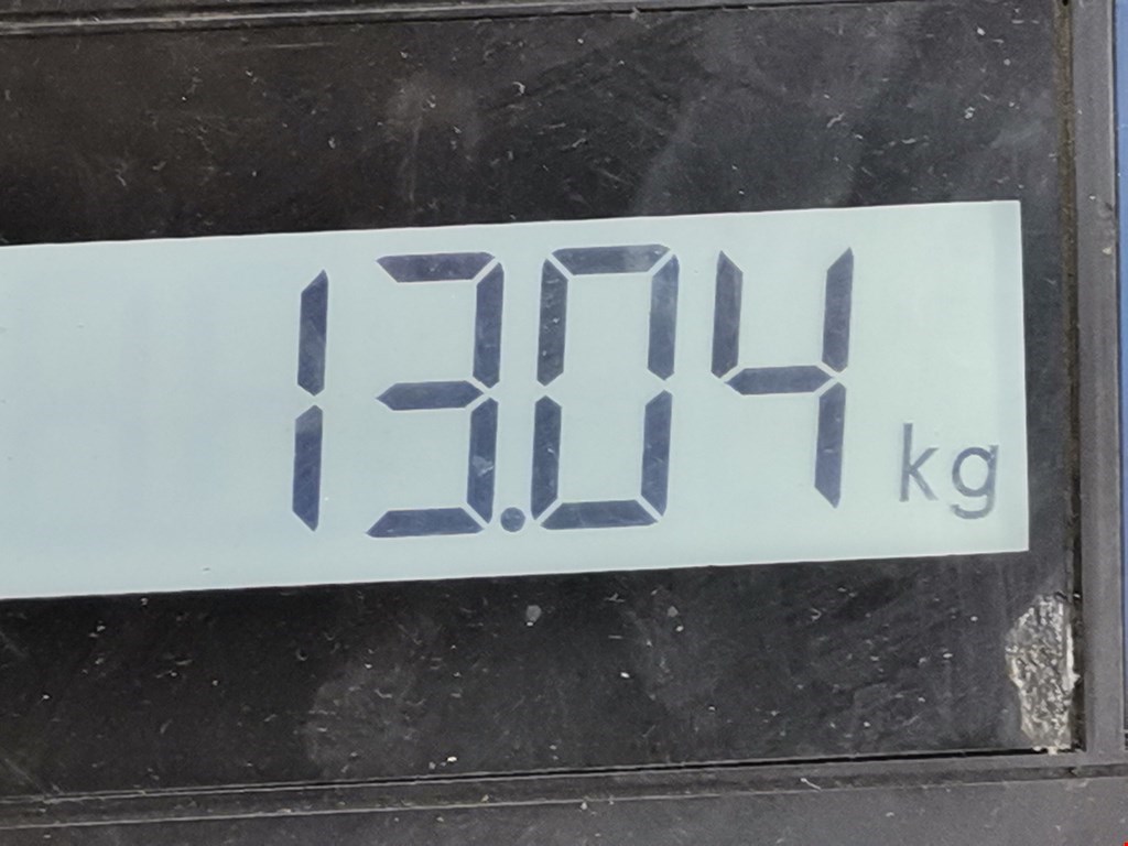 Амортизатор передний левый HONDA Civic выбрать кузов 1995-2001