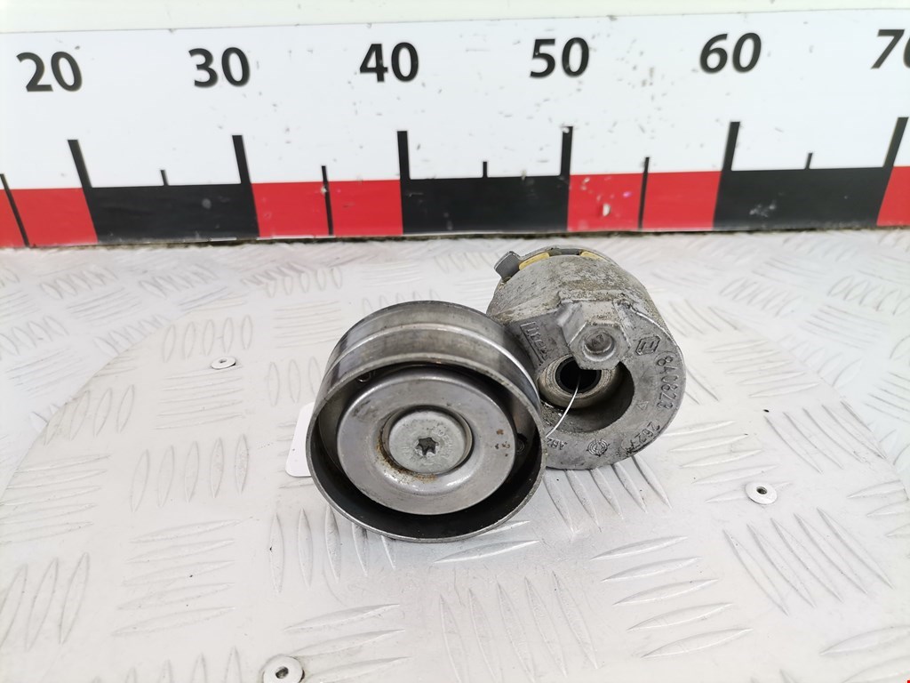 Натяжитель ремня генератора (приводного поликлинового ремня Renault Laguna 2 (2000-2007)