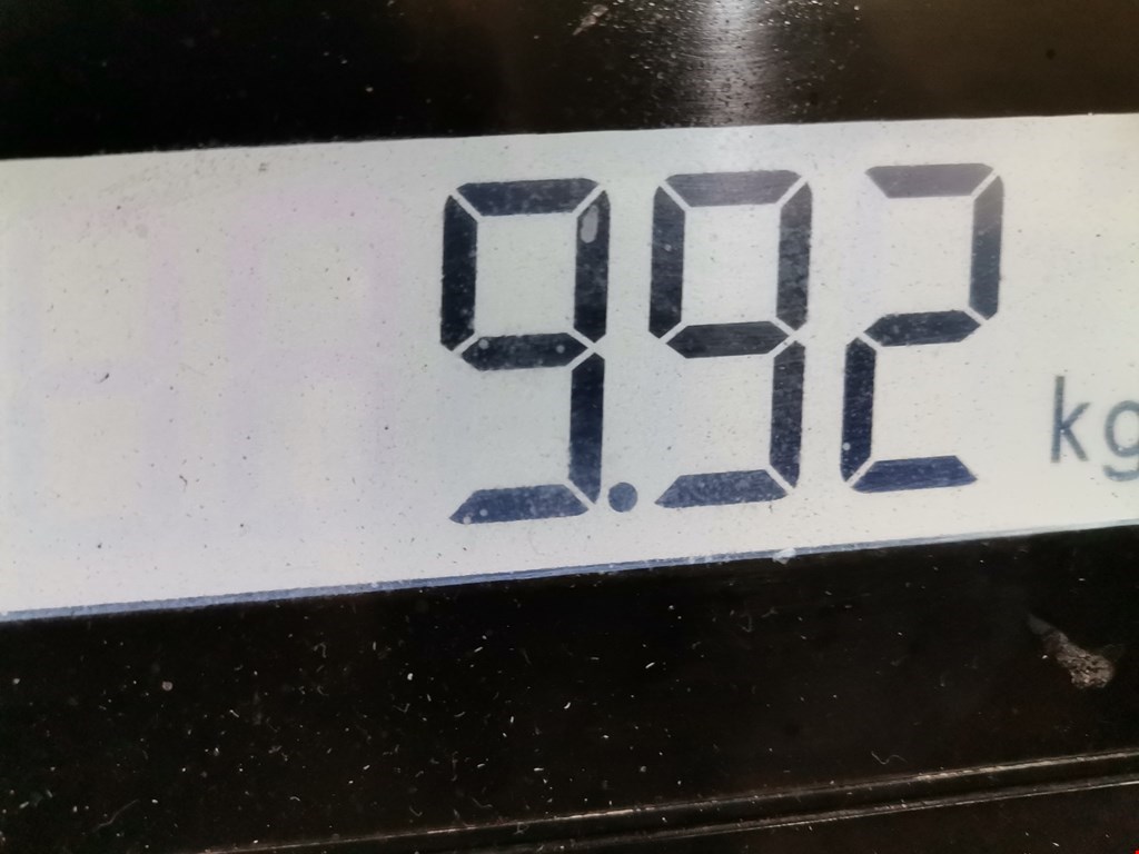 Поддон масляный двигателя MAZDA Mazda 6 GH 2007-2012