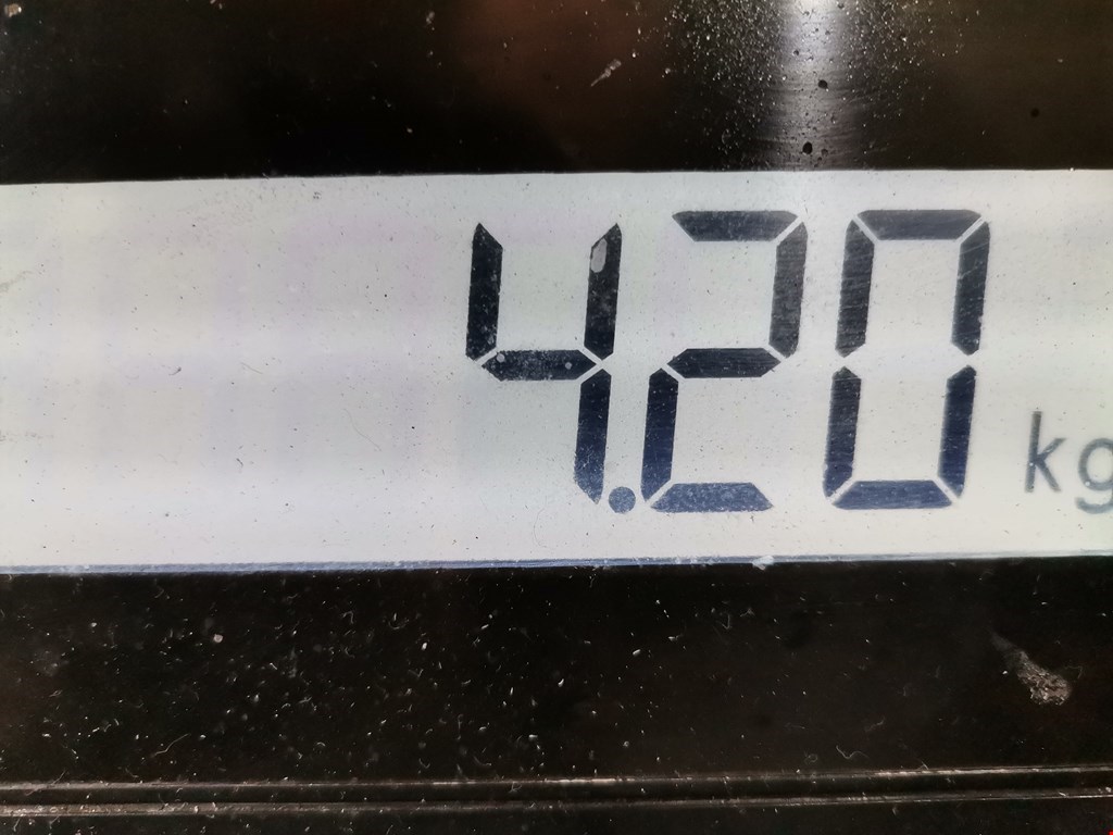 Коллектор выпускной OPEL Omega B 1994-2004