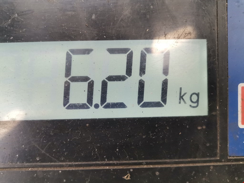 Торсион OPEL Frontera B 1998-2004