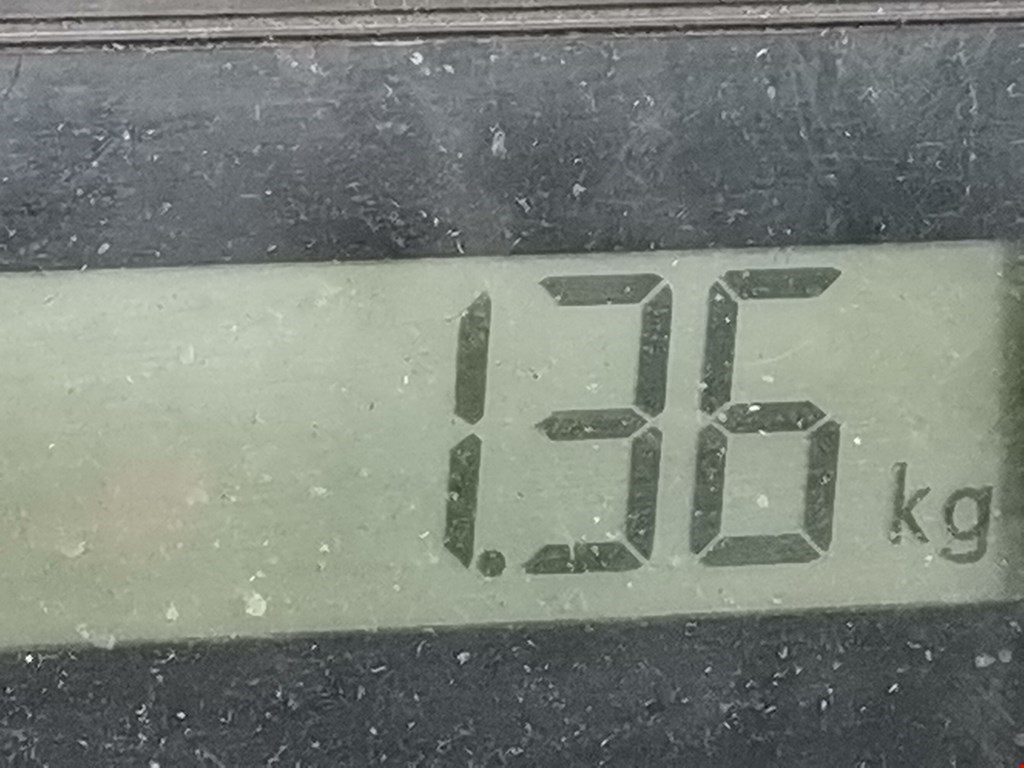 Амортизатор передний правый OPEL Frontera B 1998-2004