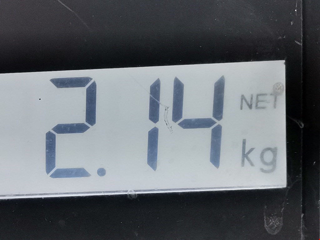 Амортизатор задний правый VOLKSWAGEN Fox 2005-2011