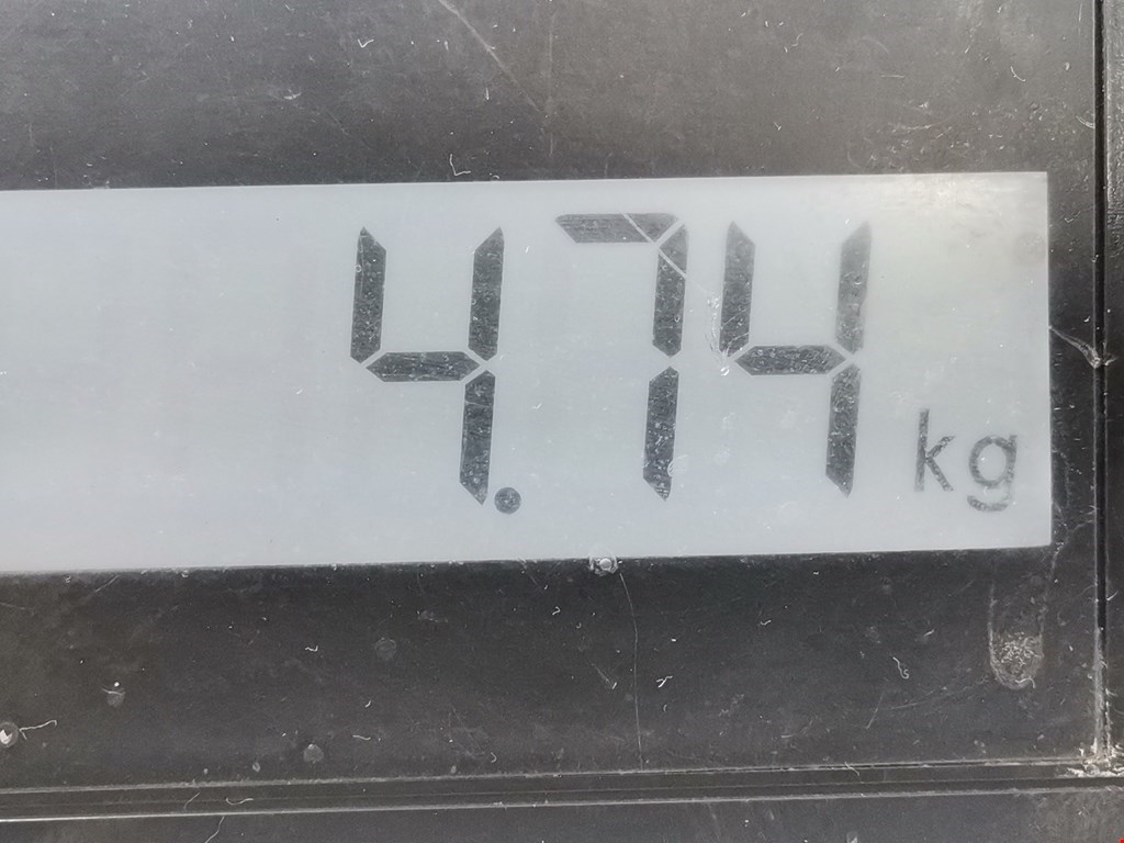 Пружина задняя левая/правая VOLKSWAGEN Passat B5 1997-2005