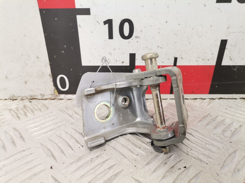 Петля двери задней правой