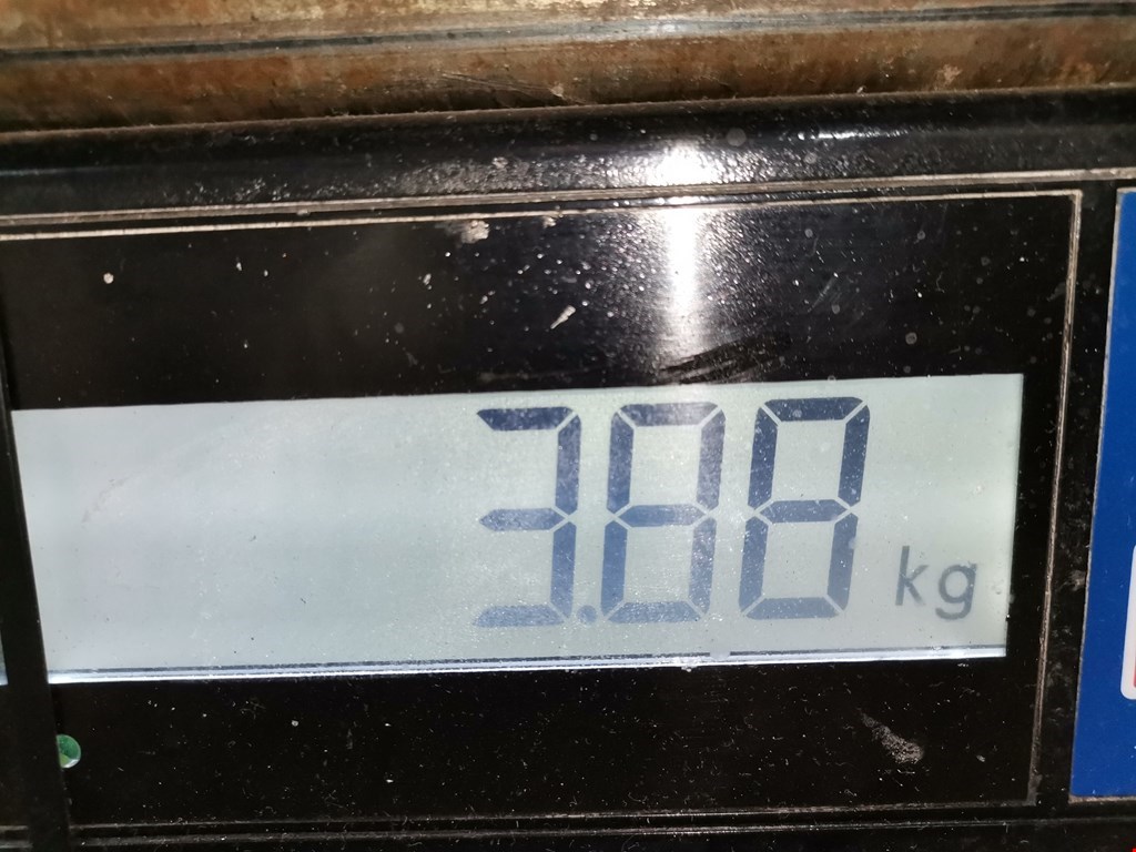 Коллектор впускной LAND ROVER Range Rover 1994-2002